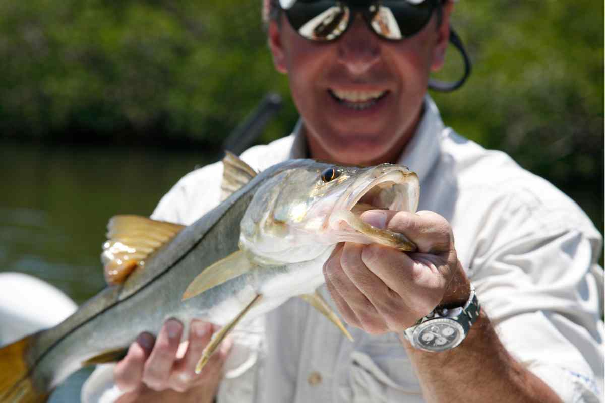 Banana River Fishing- Everything You Need To Know