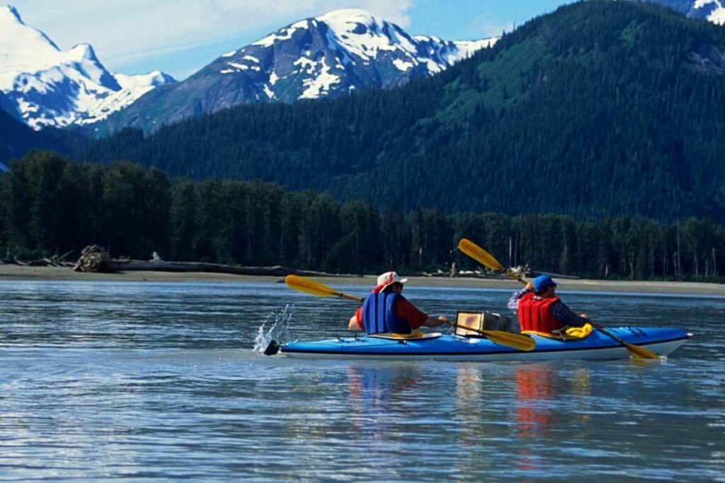 Book Guided Halibut Cove Kayaking Tours
