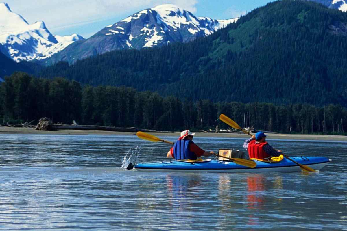 Best Guided Halibut Cove Kayaking Tours You Should Book