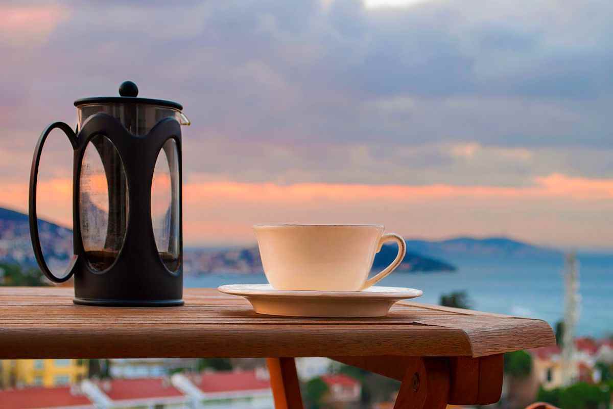 Best Travel French Press for the Money (Top 7 Picks)