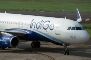 How Big are IndiGo airline Seatbelts
